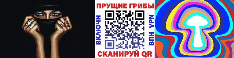 Псилоцибиновые грибы Magic Shrooms Куртамыш