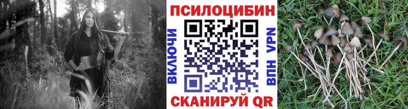 наркотики  Куртамыш  Галлюциногенные грибы ЛСД 
